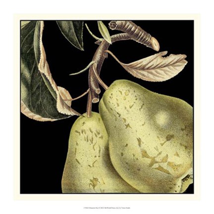 Framed Dramatic Pear Print