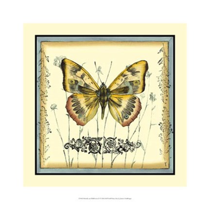 Framed Butterfly and Wildflowers IV Print