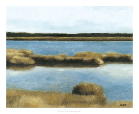 Framed Wet Lands II Print