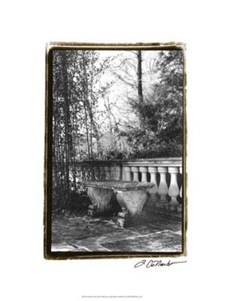 Framed Garden Grace III Print