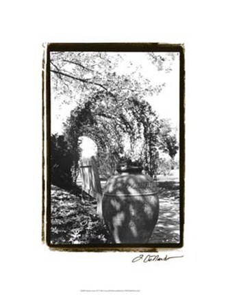 Framed Garden Grace IV Print