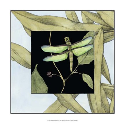 Framed Dragonfly Inset III Print