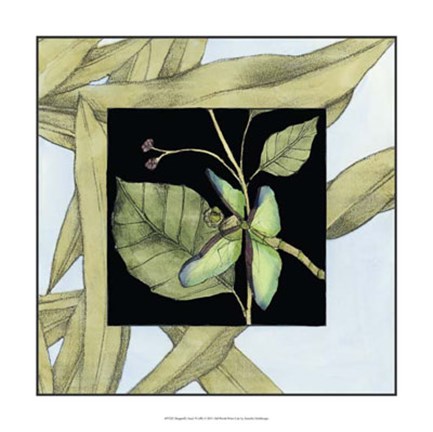 Framed Dragonfly Inset VI Print