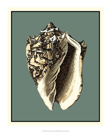 Framed Ocean's Treasure I Print