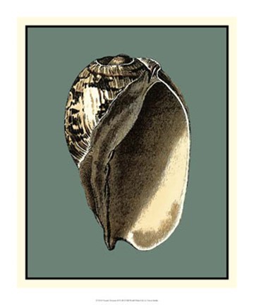 Framed Ocean's Treasure II Print