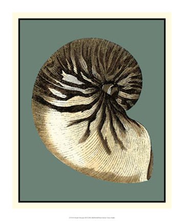 Framed Ocean&#39;s Treasure III Print