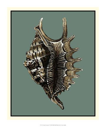 Framed Ocean's Treasure V Print