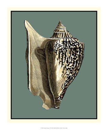 Framed Ocean's Treasure VI Print