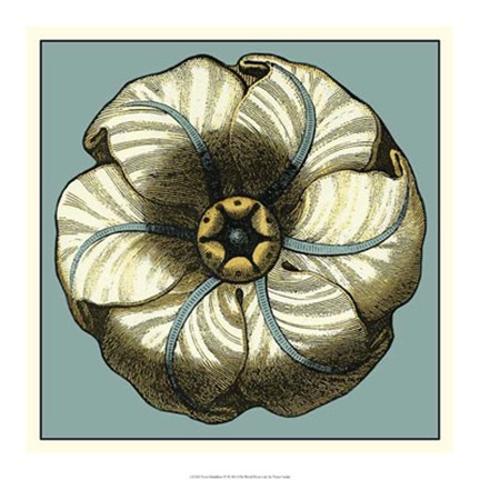 Framed Floral Medallion IV Print