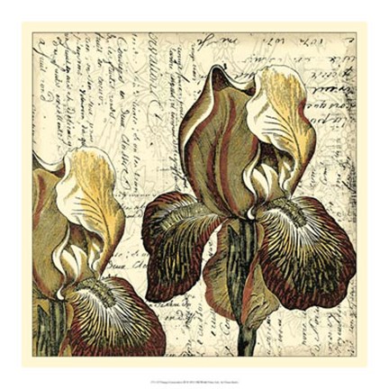 Framed Vintage Composition III Print