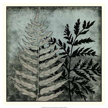 Framed Illuminated Ferns VI Print