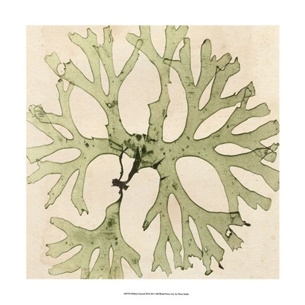 Framed Brilliant Seaweed III Print