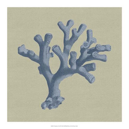 Framed Chambray Coral II Print