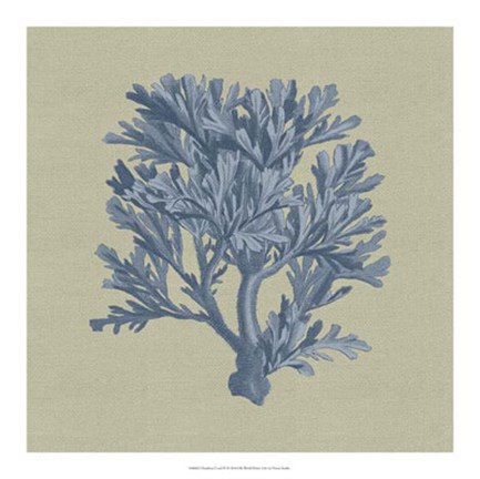 Framed Chambray Coral IV Print