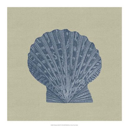 Framed Chambray Shells IV Print
