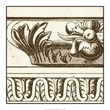 Framed Sepia Detail IV Print