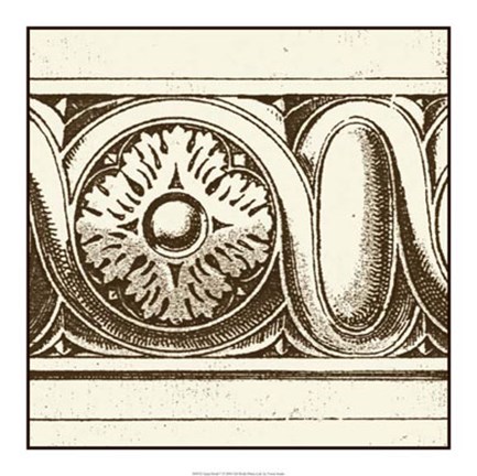 Framed Sepia Detail V Print