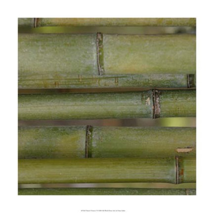 Framed Nature&#39;s Textures V Print