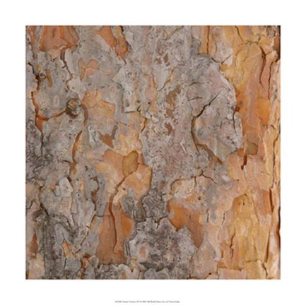 Framed Nature's Textures VII Print