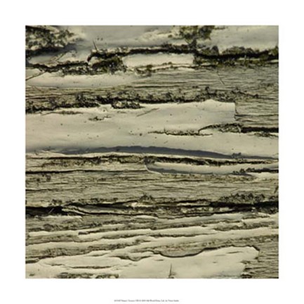 Framed Nature&#39;s Textures VIII Print