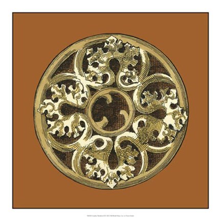 Framed Graphic Medallion II Print