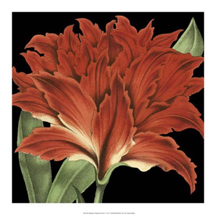 Framed Dramatic Tropical Vision V Print