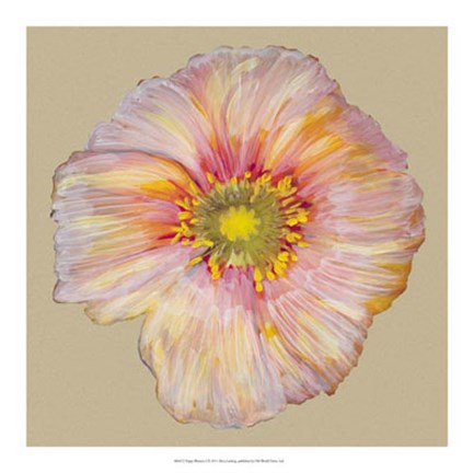 Framed Poppy Blossom I Print