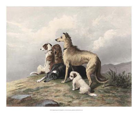 Framed Highland Dogs Print