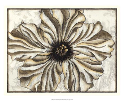 Framed Fresco Flowerhead I Print