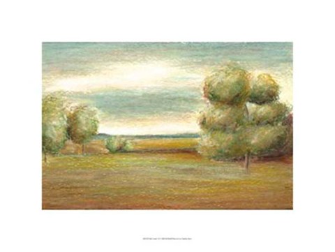 Framed Idle Country VI Print