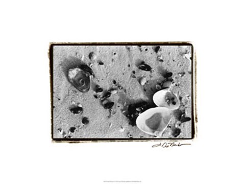 Framed Sand Treasures I Print