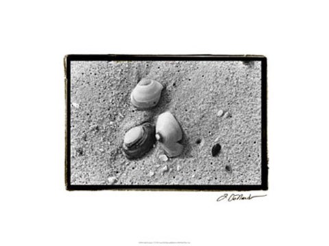 Framed Sand Treasures V Print