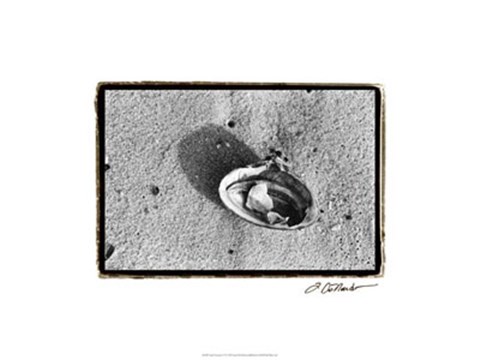 Framed Sand Treasures VI Print