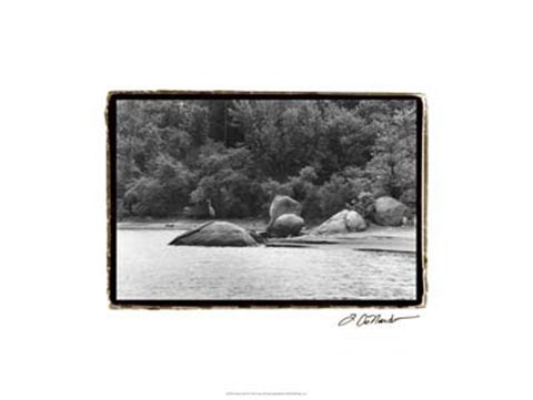 Framed Serene Lake II Print
