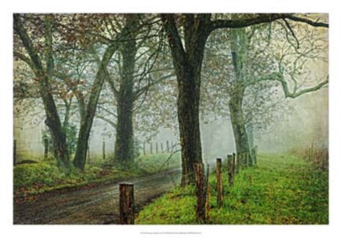 Framed Morning on Sparks Lane IV Print