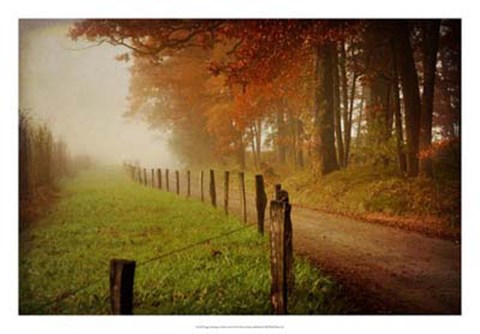 Framed Foggy Morning on Hyatt Lane Print