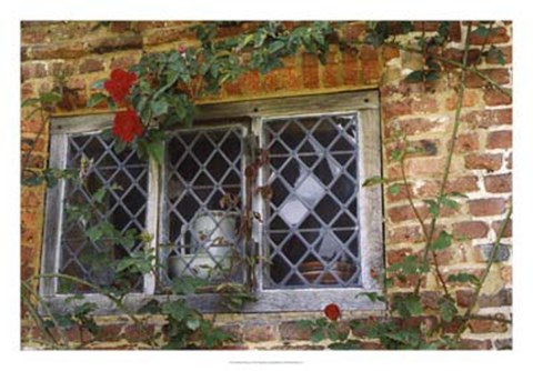 Framed Pitcher Window Print