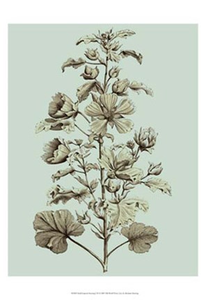 Framed Small Imperial Munting I Print