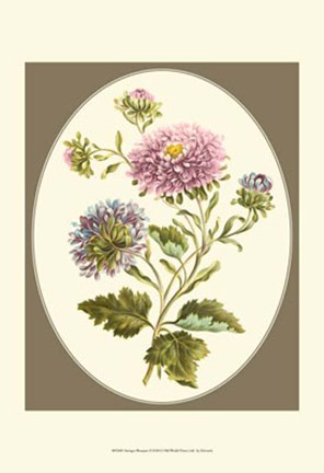 Framed Antique Bouquet II Print