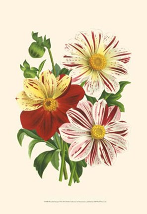 Framed Bountiful Bouquet III Print