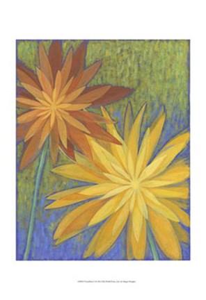 Framed Floral Burst I Print