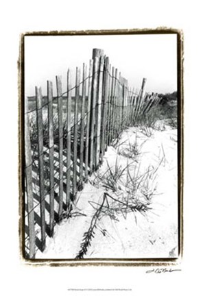 Framed Beach Scape II Print