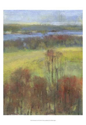 Framed Mountain View II Print