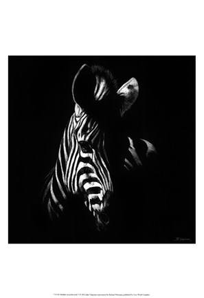 Framed Wildlife Scratchboards V Print