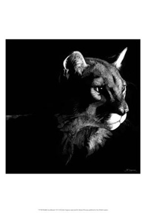 Framed Wildlife Scratchboards VII Print