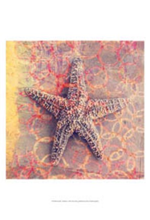 Framed Seashell-Starfish Print
