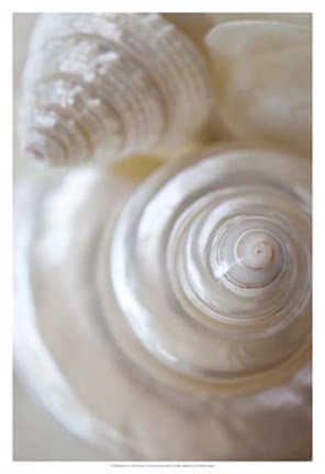 Framed Pearlesce I Print