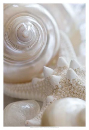 Framed Pearlesce II Print