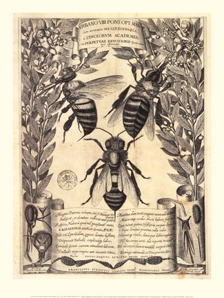 Framed Melissographia, 1625 Print