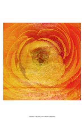 Framed Relatives I Print